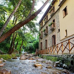 Historic Boutique Hotel Maccarunera